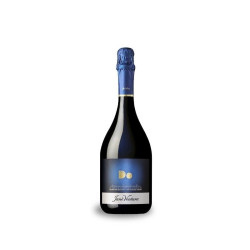 CAVA JANÉ VENTURA GRAN RESERVA 2010 (B07)